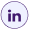LinkedIn Icon